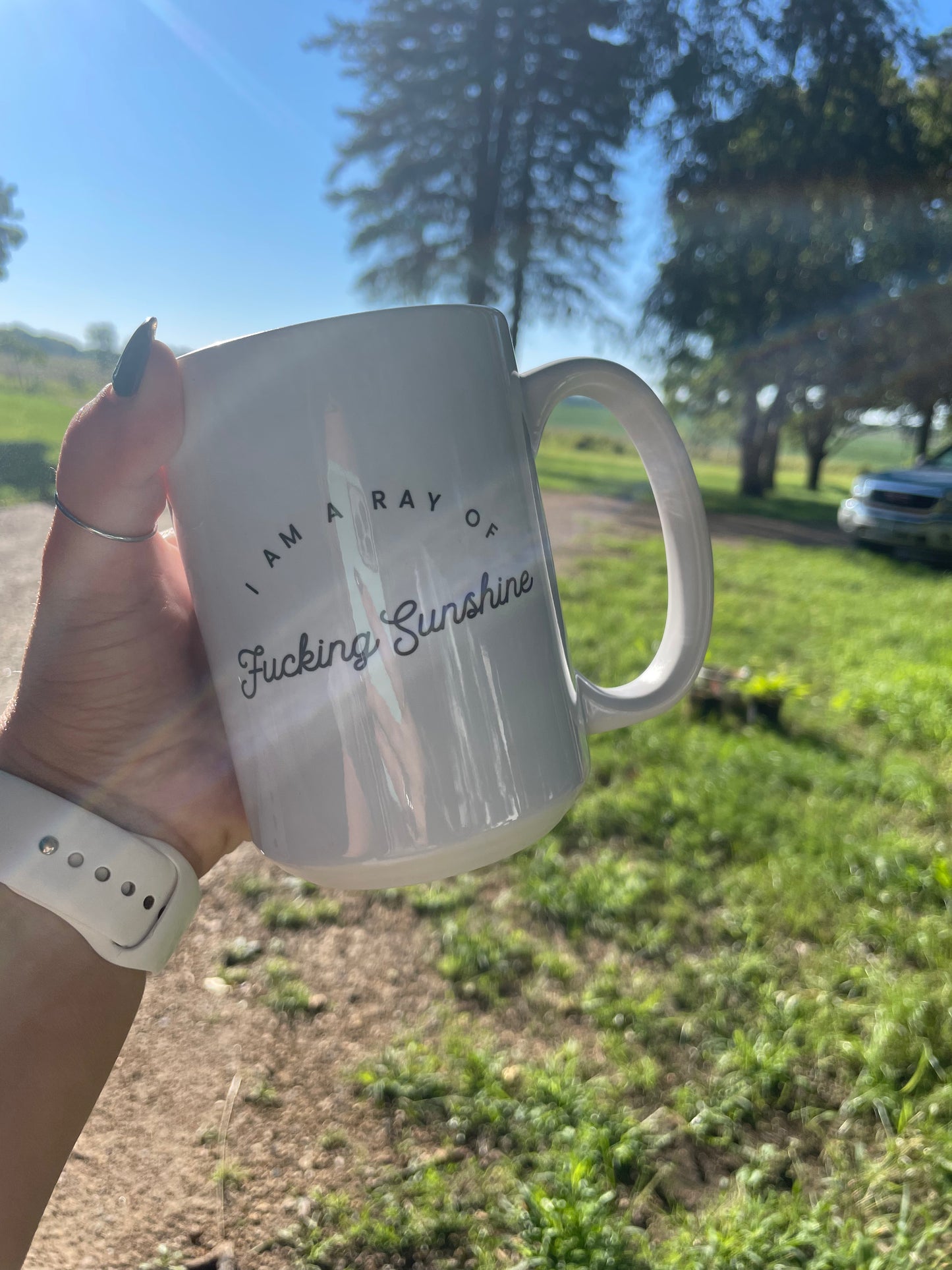 I am a Ray of Fucking Sunshine Mug